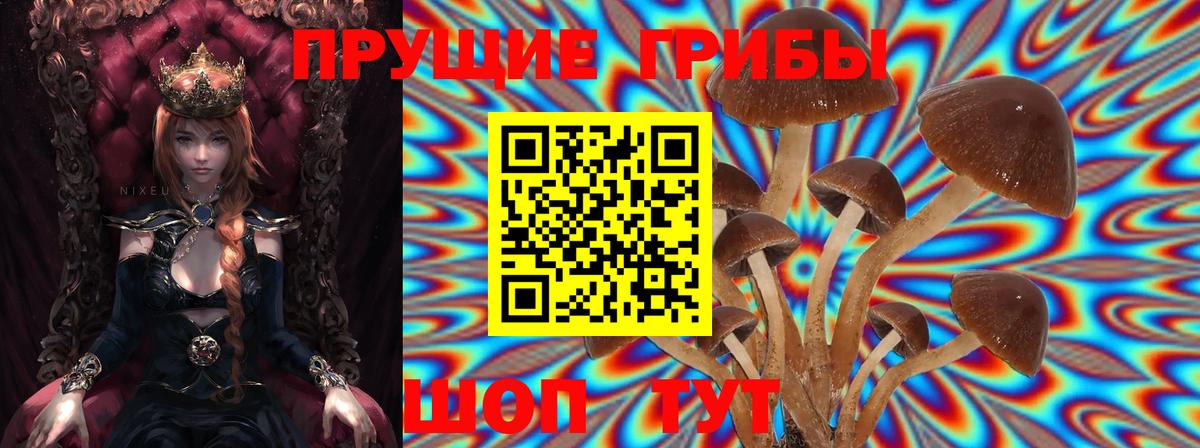 Псилоцибиновые грибы мухоморы  Вход с VPN  Кимовск  Галлюциногенные грибы Cubensis 