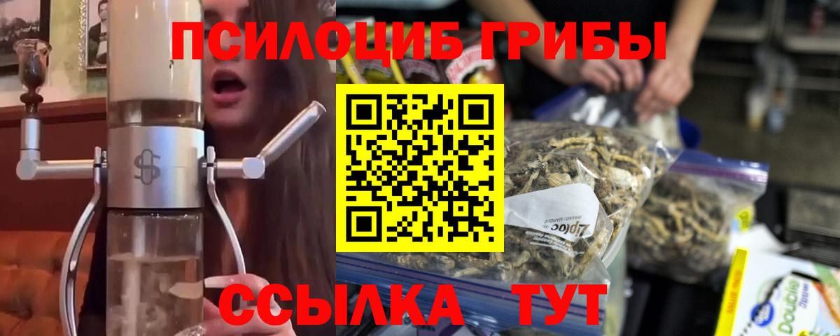Галлюциногенные грибы Psilocybe Кимовск