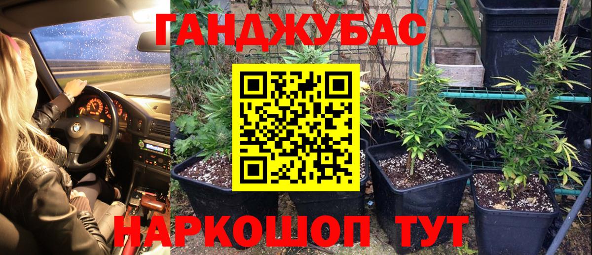 Марихуана OG Kush Кимовск